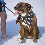 NEW!!!!  Handmade Dog Bandana (3 Sizes)